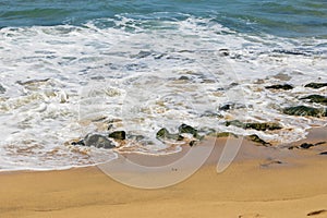 a beautiful spring landscape at Sandy Beach with blue ocean water, silky brown sand, rocks covered in green algae