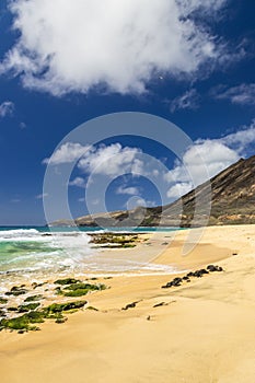 a beautiful spring landscape at Sandy Beach with blue ocean water, silky brown sand, rocks covered in green algae, palm trees