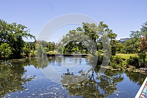 a beautiful spring landscape in the Sculpture Garden at New Orleans City Park with a lake, lush green trees, grass and plants