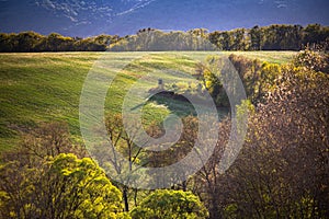 Beautiful spring landscape in warm sunset light. Trees meadows, fields and hunting cabine