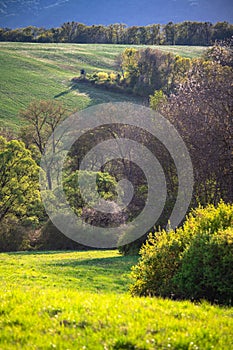 Beautiful spring landscape in warm sunset light. Trees meadows, fields and hunting cabine
