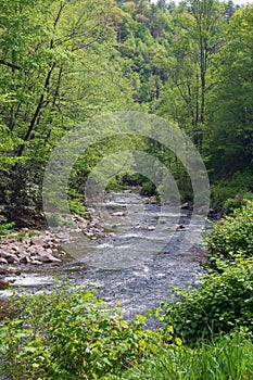 A beautiful spring morning by the river in the Nantahala National Forest in Western North Carolina.