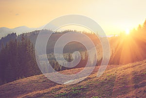 Beautiful spring mountain landscape at sunrise.