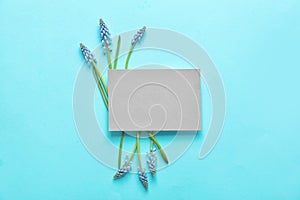 Beautiful spring muscari flowers and card on color background, flat lay