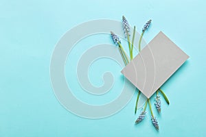 Beautiful spring muscari flowers and card on color background, top view
