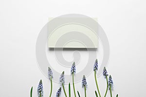 Beautiful spring muscari flowers and card on light background, flat lay