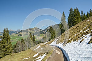 Beautiful spring nature around the small village Oberiberg