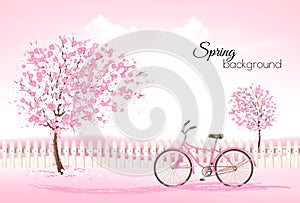 Beautiful spring nature background with a blossoming trees photo