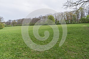 Beautiful spring nature scene. Green meadow in the park