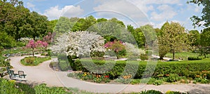 Beautiful spring park landscape, Westpark munich, recreational area with benches and blooming apple trees and tulips