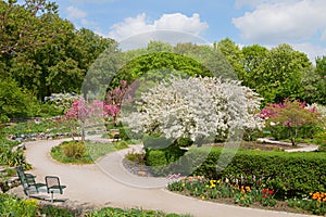 Beautiful spring park landscape, Westpark munich, recreational area with benches and blooming apple trees and tulips