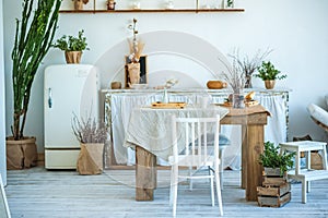 Beautiful spring photo of kitchen interior in light textured colors. Kitchen, living room with beige sofa sofa, old retro white fr