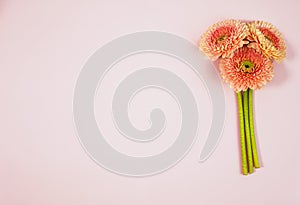 Beautiful spring pink flowers on blue pastel table top view. Floral border. Flat lay style.