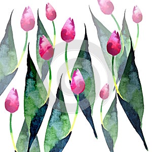 Beautiful spring pink tulips pattern watercolor hand sketch