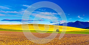 Beautiful spring plowed field and green and yellow meadow. Mountain in background.