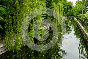 Beautiful spring river and forest. Nature Reflection of trees in the water. Abstract natural background. Blurry