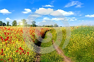 Beautiful spring rural landscape