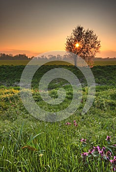 Beautiful spring scenery