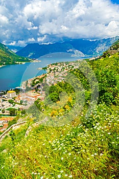 Beautiful spring scenery Kotor port aerial view Montenegro