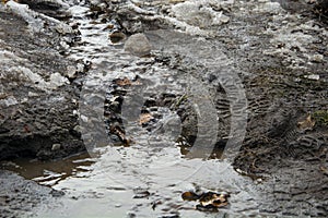 A beautiful spring stream made of melted snow.