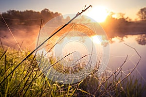 A beautiful spring sunrise scenery with plants growing on the banks of river. Springtime landscape with mist and local flora.