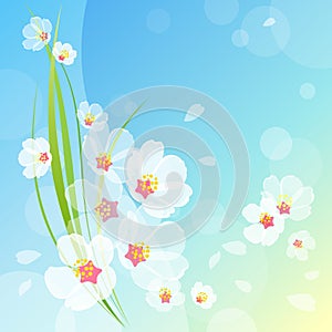 Beautiful spring vector background