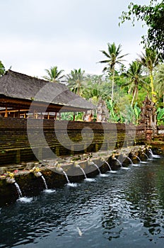 Beautiful spring water pura Tirtha Empul in Tampak photo