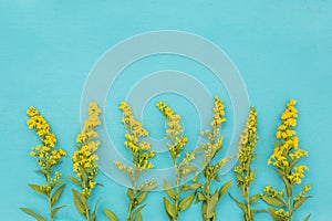 Beautiful spring yellow flowers on blue pastel table top view. Floral border.Flat lay.