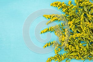 Beautiful spring yellow flowers on blue pastel table top view. Floral border.Flat lay.