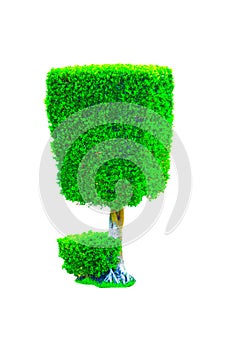 Beautiful square shape of green Hedge cut tree isolated on white background.