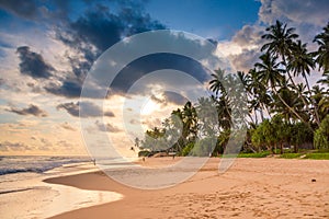 Beautiful Sri Lanka beach in sunset light.