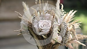 Beautiful stabilised shot of white flavour. Nature. Close up flowers