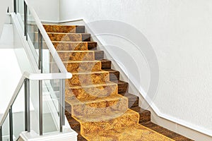 beautiful stair step with carpet