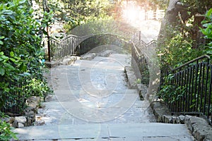 A beautiful staircase with stone steps and a metal lattice among the thickets of trees in a shady Park, the sun shines