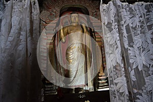 Beautiful standing Buddha statue inside Dambulla cave temple a sacred pilgrimage site in Sri Lanka.