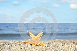 Beautiful starfish on sand near sea,  for text. Beach object