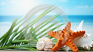 Beautiful starfish with seashells and blurred beach background summer time concept.