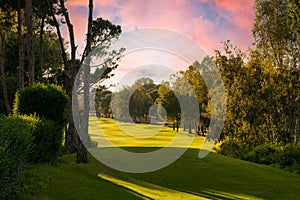 Beautiful starting point on a golf course in bright colors