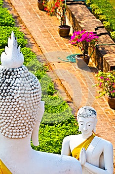 Beautiful statue of Buddhas in temple Wat Yai Chai Mongkol