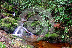 Beautiful steam in forest, Thailand