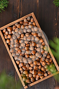 still life with hazelnuts and green branches, selective focus
