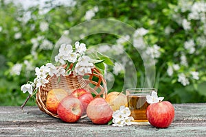 A beautiful still life with ripe apples and branches with white flowers