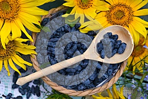 Beautiful still life with sunflowers and blue honeysuckle berry.