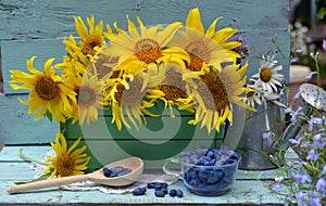 Beautiful still life with sunflowers in wooden box and blue berry in the garden.