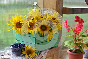 Beautiful still life with sunflowers in wooden box and glass of honey berry.