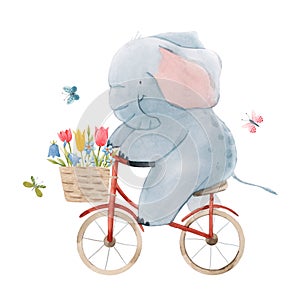 Beautiful stock illustration with cute watercolor baby elephant on bike. Animal with bicycle hand drawn painting.