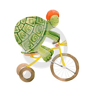Beautiful stock illustration with cute watercolor baby turtle on bike. Animal with bicycle hand drawn painting.