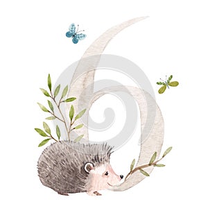 Beautiful stock illustration with watercolor hand drawn number 6 and cute hedgehog animal for baby clip art. Six month