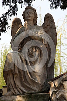 Beautiful stone angel praying on a tombstone