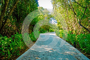 Beautiful stone path surrounding of vegetation in Playacar neighborhood, Playa del Carmen, Mexico photo